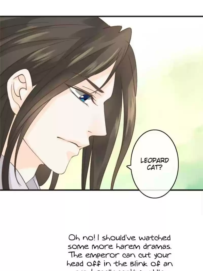 Back To The Tang Dynasty: The Chubby Beauty Chapter 69