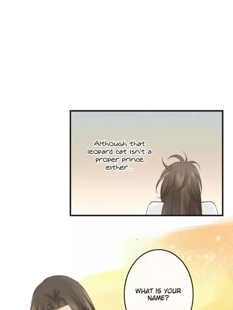 Back To The Tang Dynasty: The Chubby Beauty Chapter 69