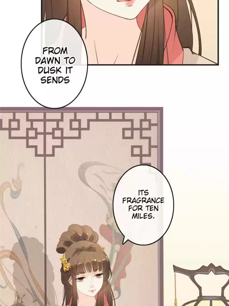 Back To The Tang Dynasty: The Chubby Beauty Chapter 73