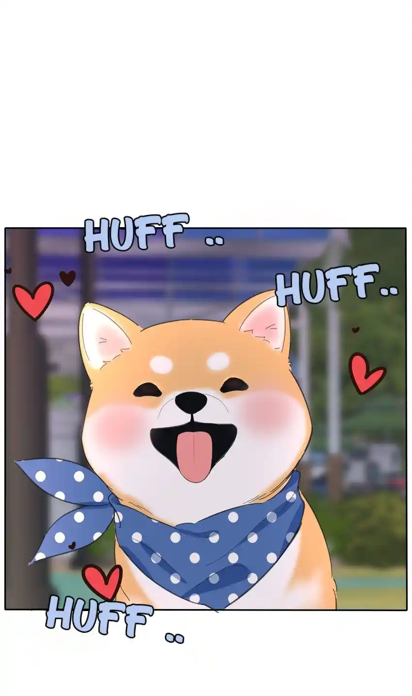 Baili Jin Among Mortals Chapter 183