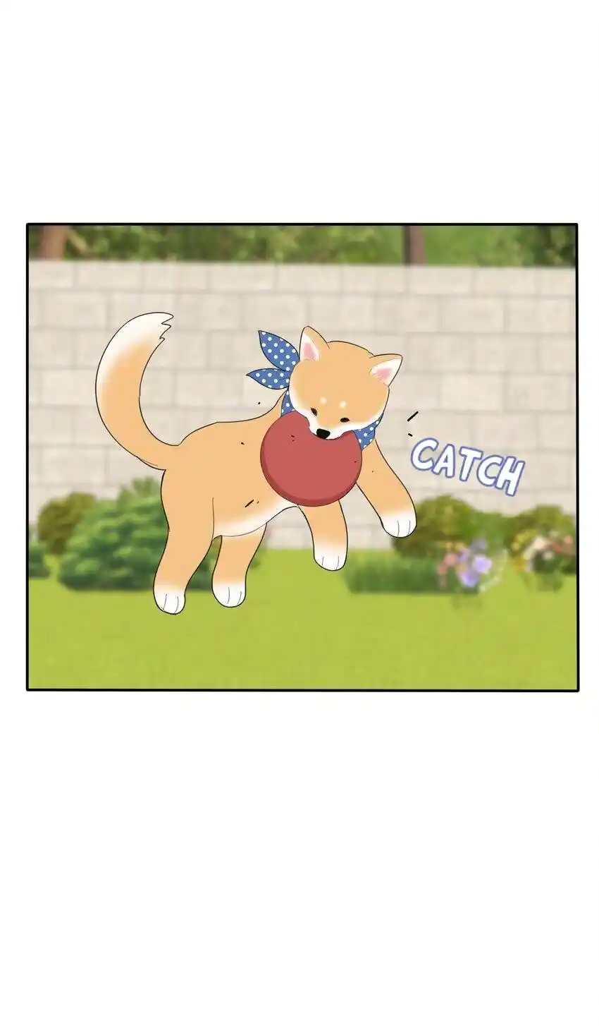 Baili Jin Among Mortals Chapter 185