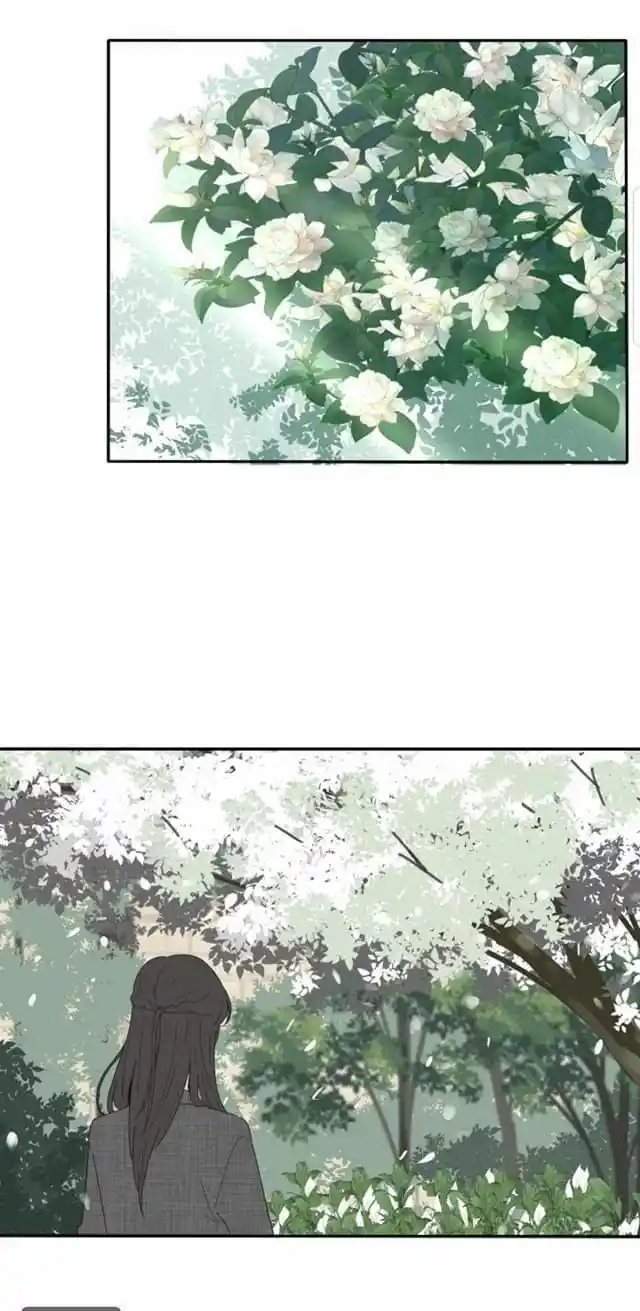 Baili Jin Among Mortals Chapter 42