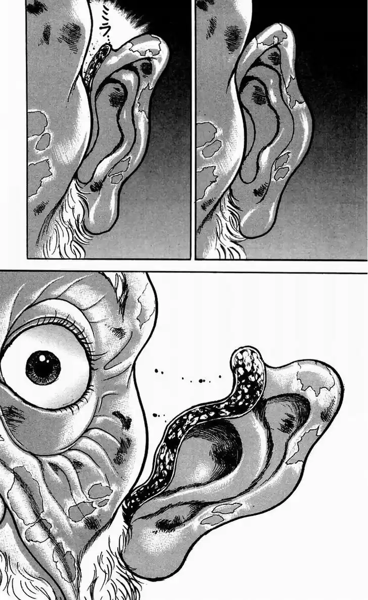 Baki 51