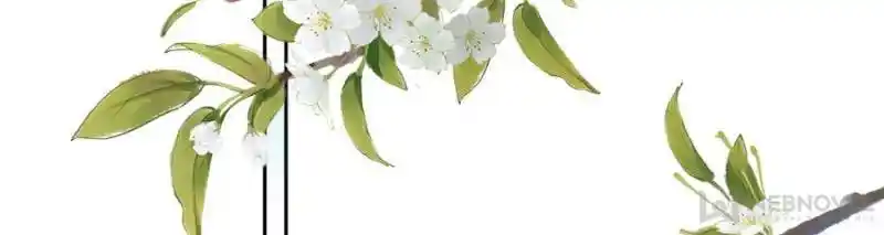 Be A Eunuch's Wife To Control The World Chapter 84