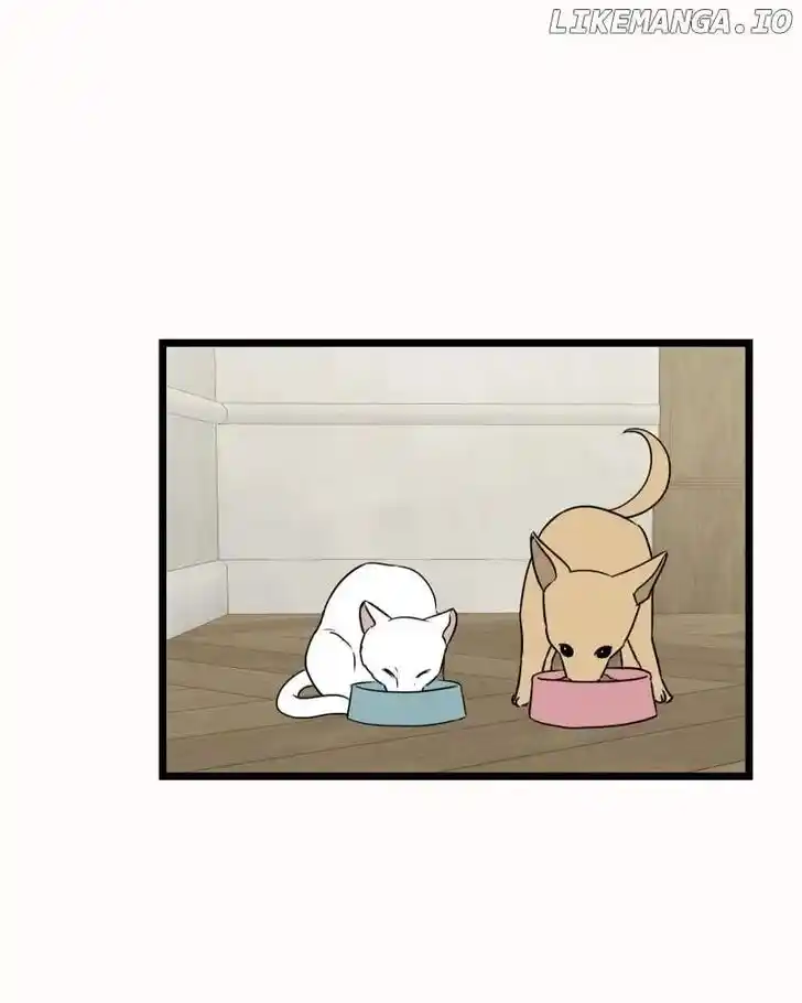 Be My Villain Ch.114