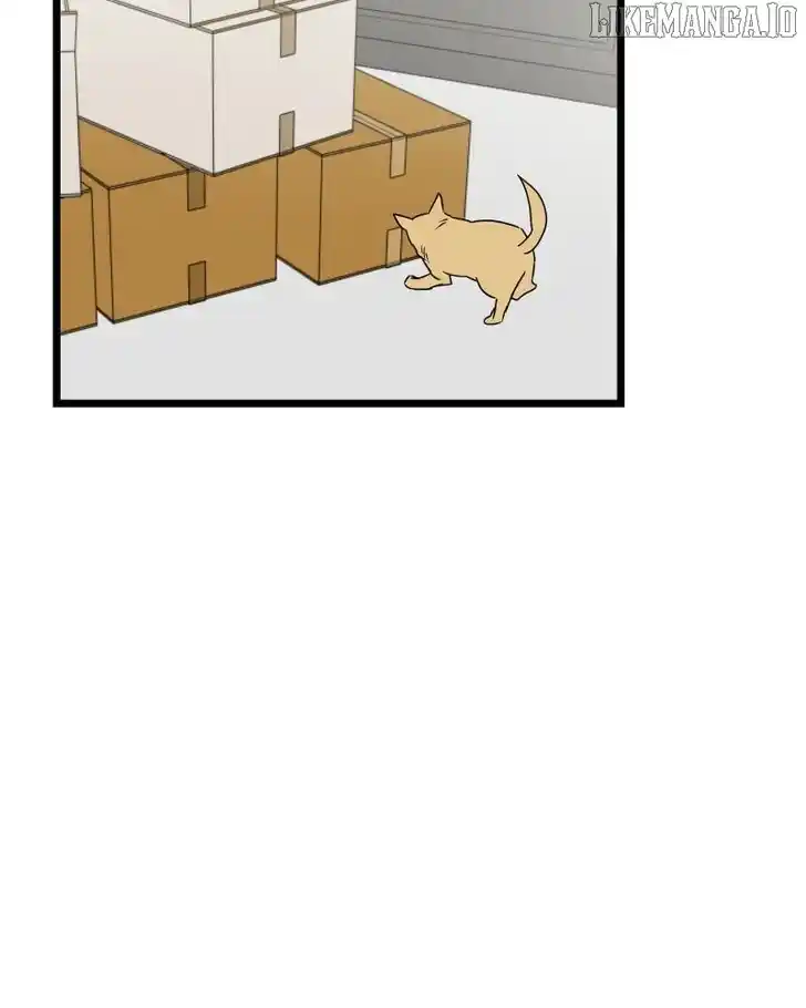 Be My Villain Ch.142