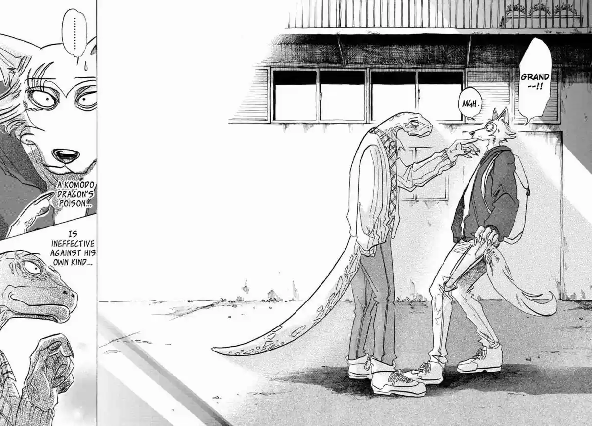 Beastars Ch. 104 A Lethal Dose of Love, Marmalade Flavored