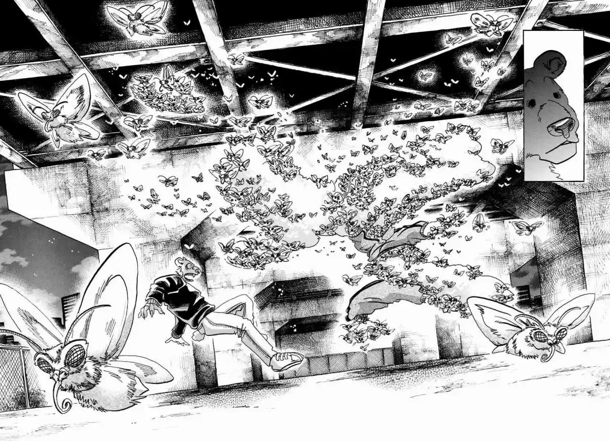 Beastars Ch. 93 A Piece of Golden Hair on My Shirt, Now in My Pocket