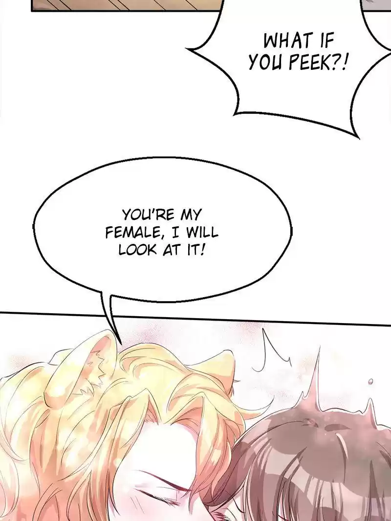 Beauty and the Beasts Ch.41