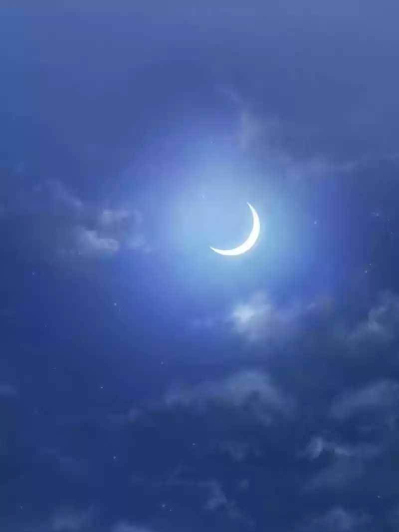 Beauty and the Beasts Ch.43