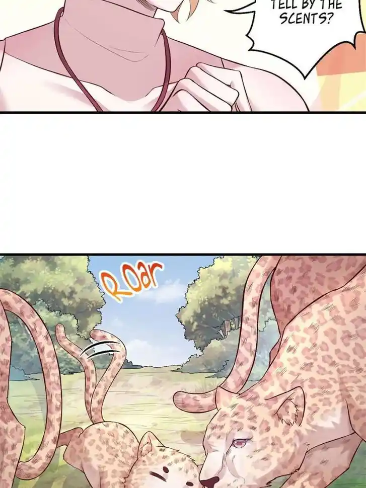 Beauty and the Beasts Ch.467