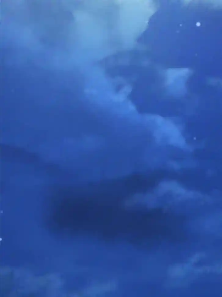 Beauty and the Beasts Ch.478