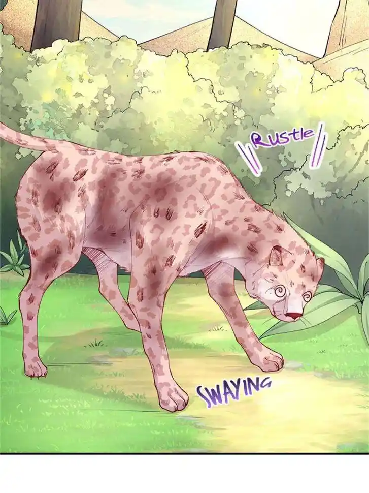 Beauty and the Beasts Ch.522