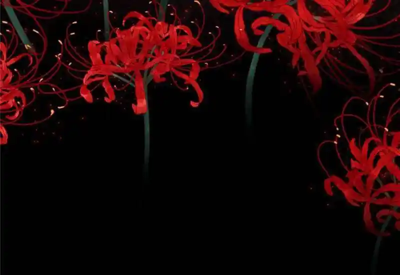 Beauty and the Beasts Ch.655