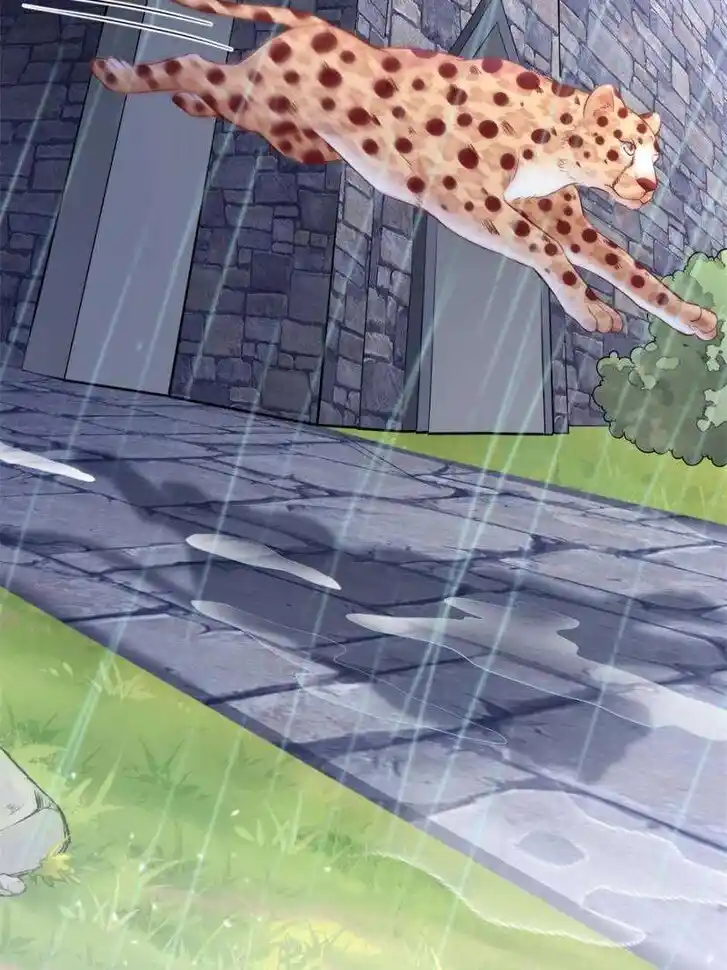 Beauty and the Beasts Ch.664