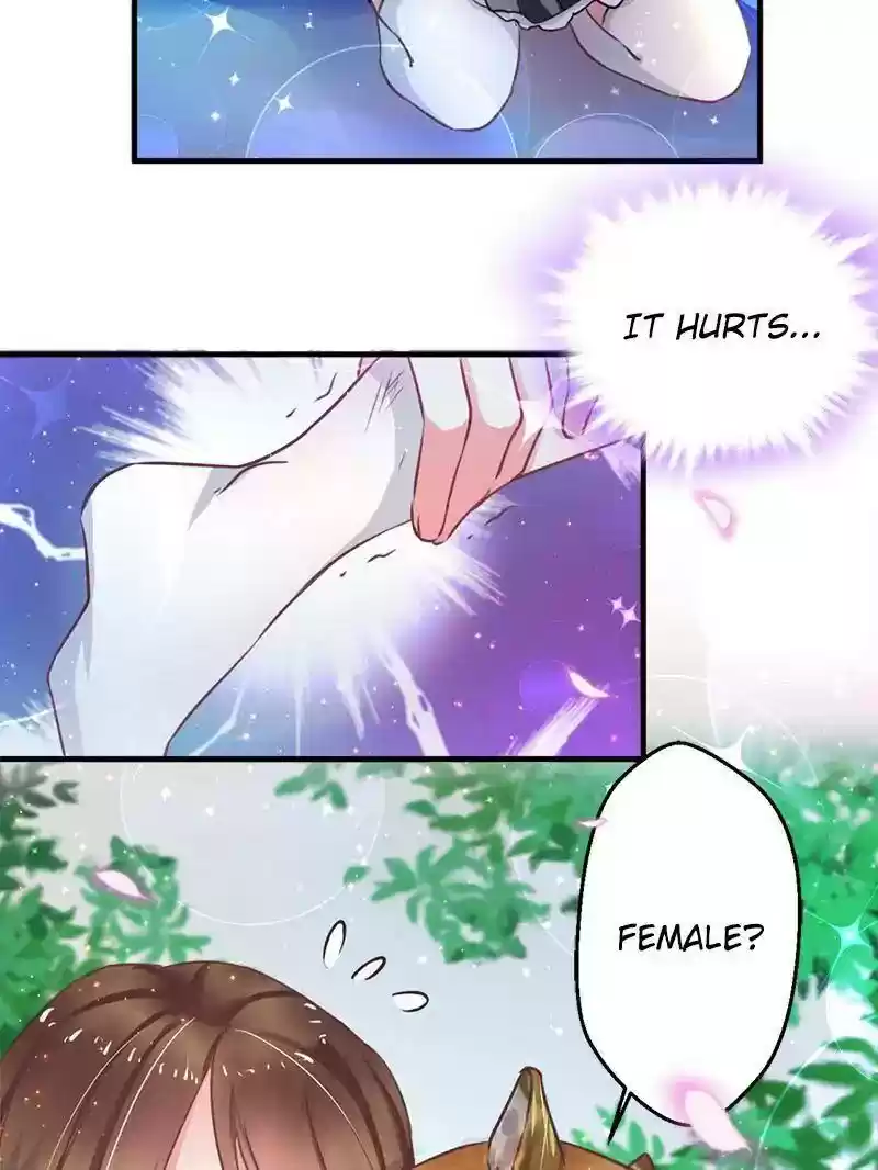 Beauty and the Beasts Chapter 1