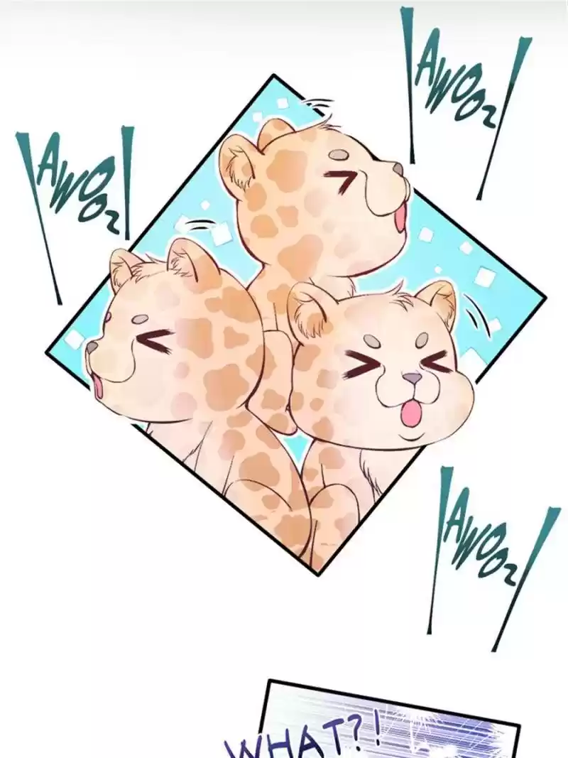 Beauty And The Beasts Chapter 144