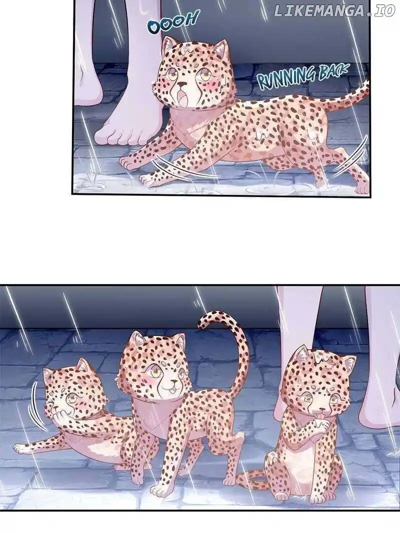 Beauty and the Beasts Chapter 588