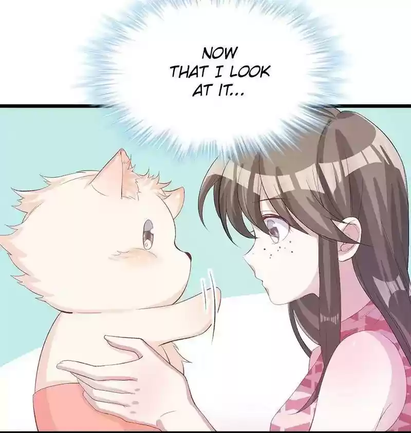 Beauty and the Beasts Chapter 71