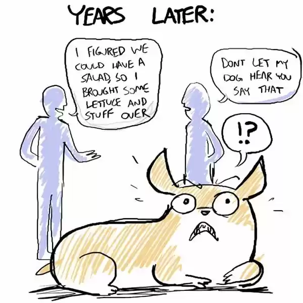 Behind the GIFs ch.129