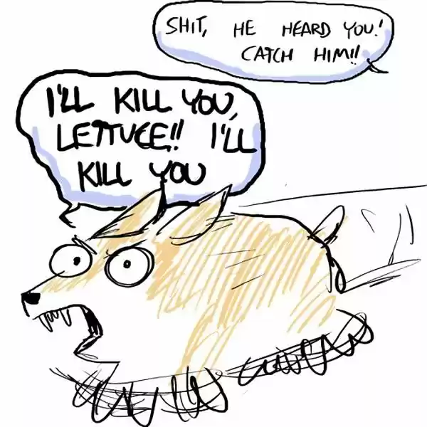 Behind the GIFs ch.129