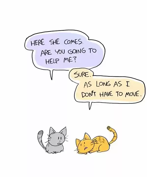 Behind the GIFs ch.182