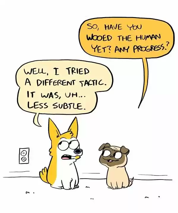 Behind the GIFs ch.278