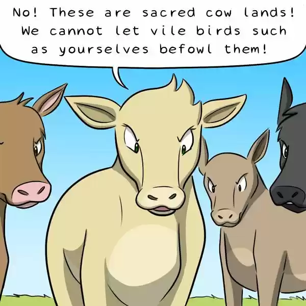 Behind the GIFs ch.335