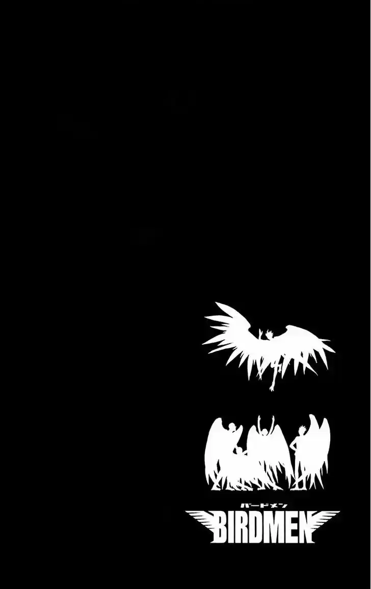 Birdmen 19