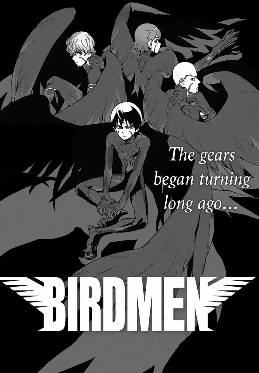 Birdmen 45