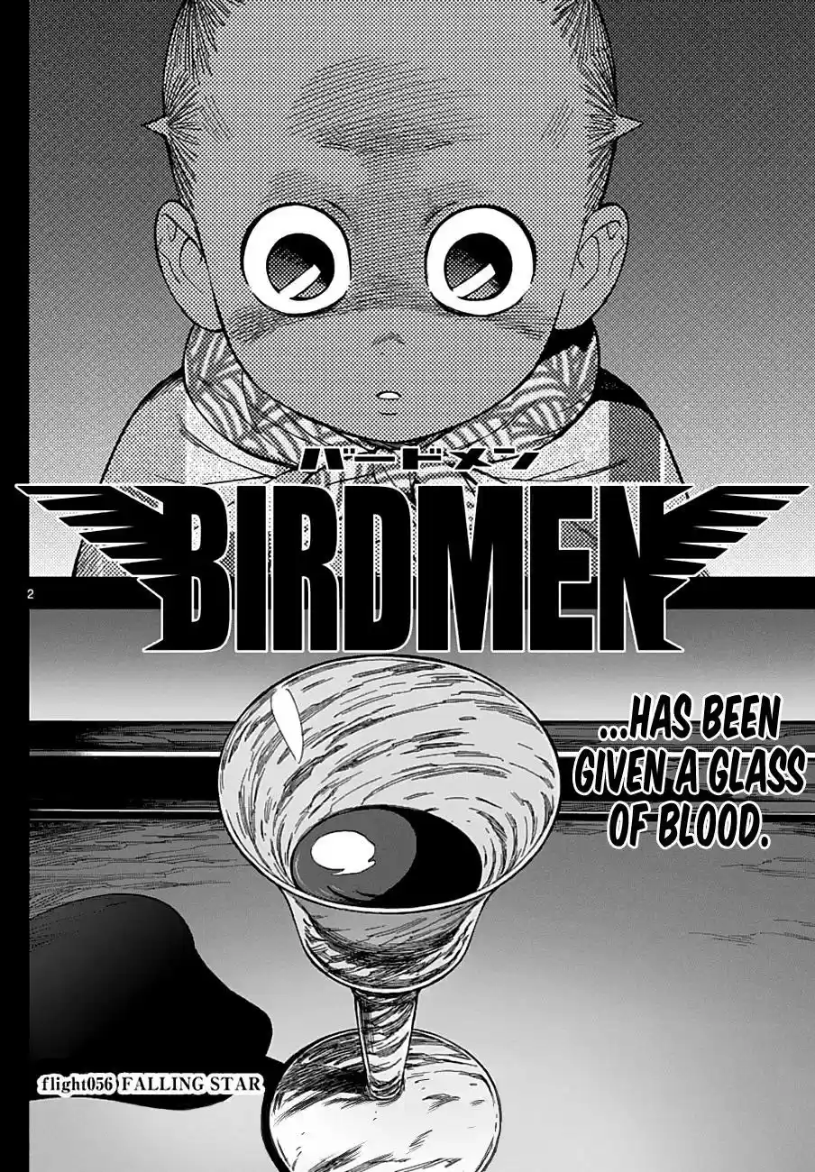 Birdmen 56