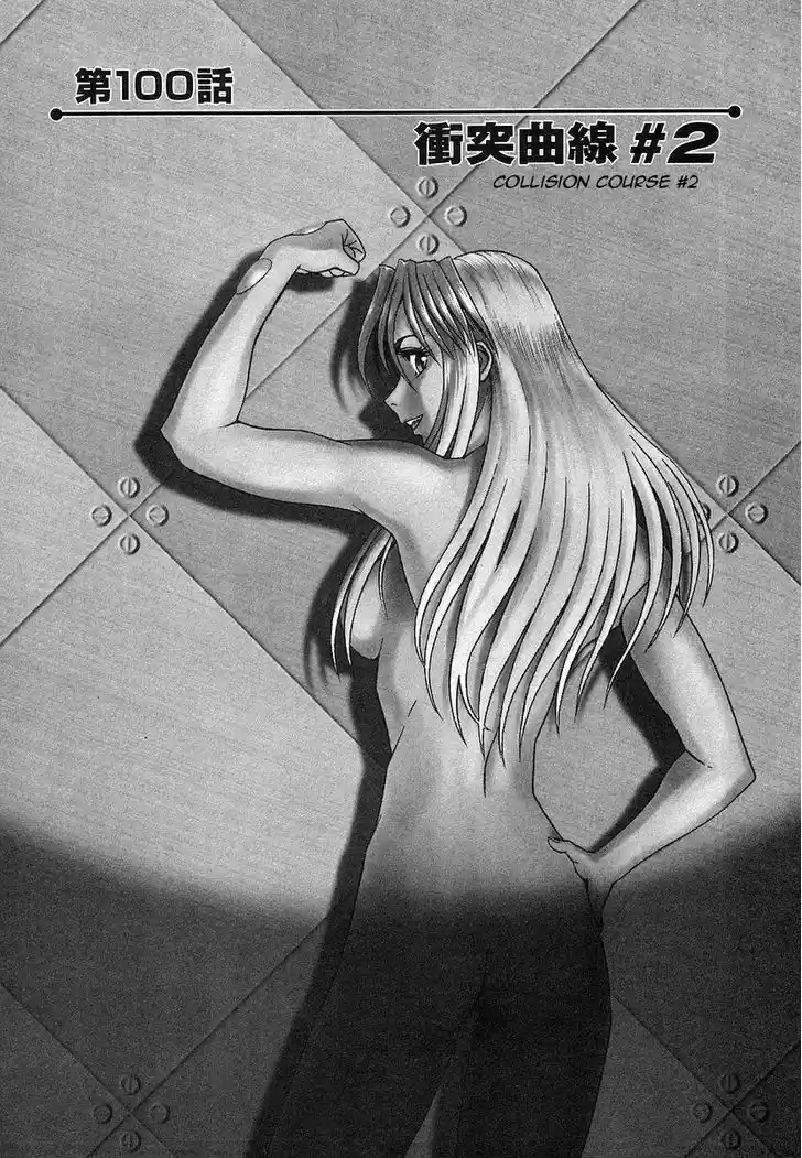 Birdy the Mighty II 100