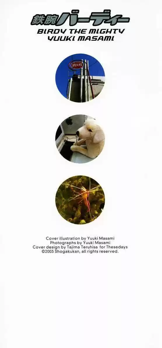 Birdy the Mighty II 11