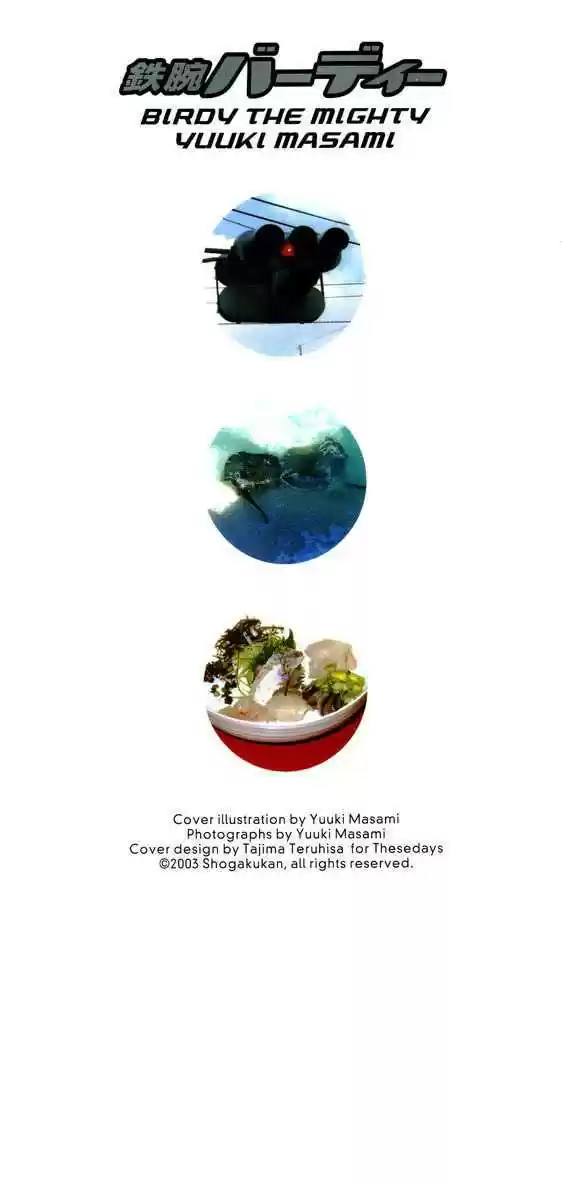 Birdy the Mighty II 22