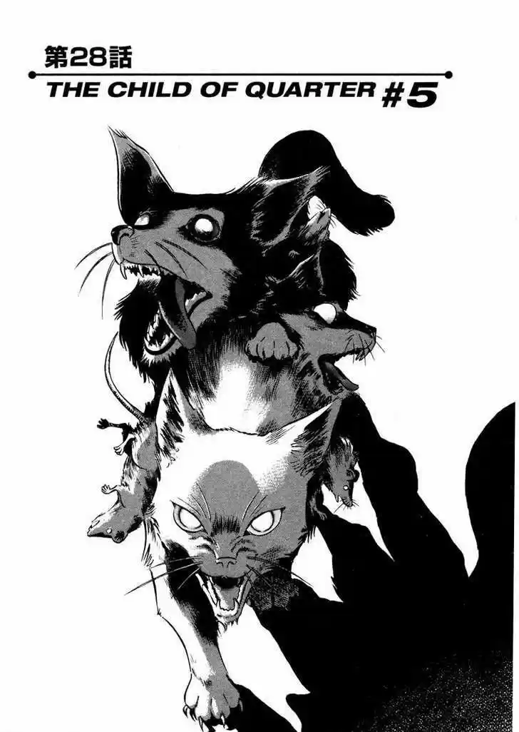 Birdy the Mighty II 28