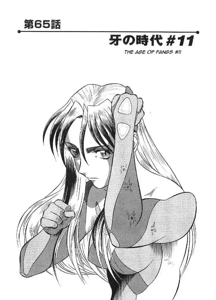 Birdy the Mighty II 65