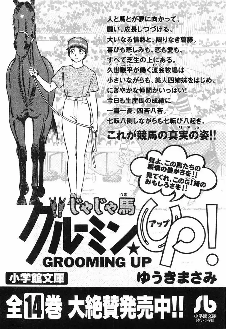 Birdy the Mighty II 87.5