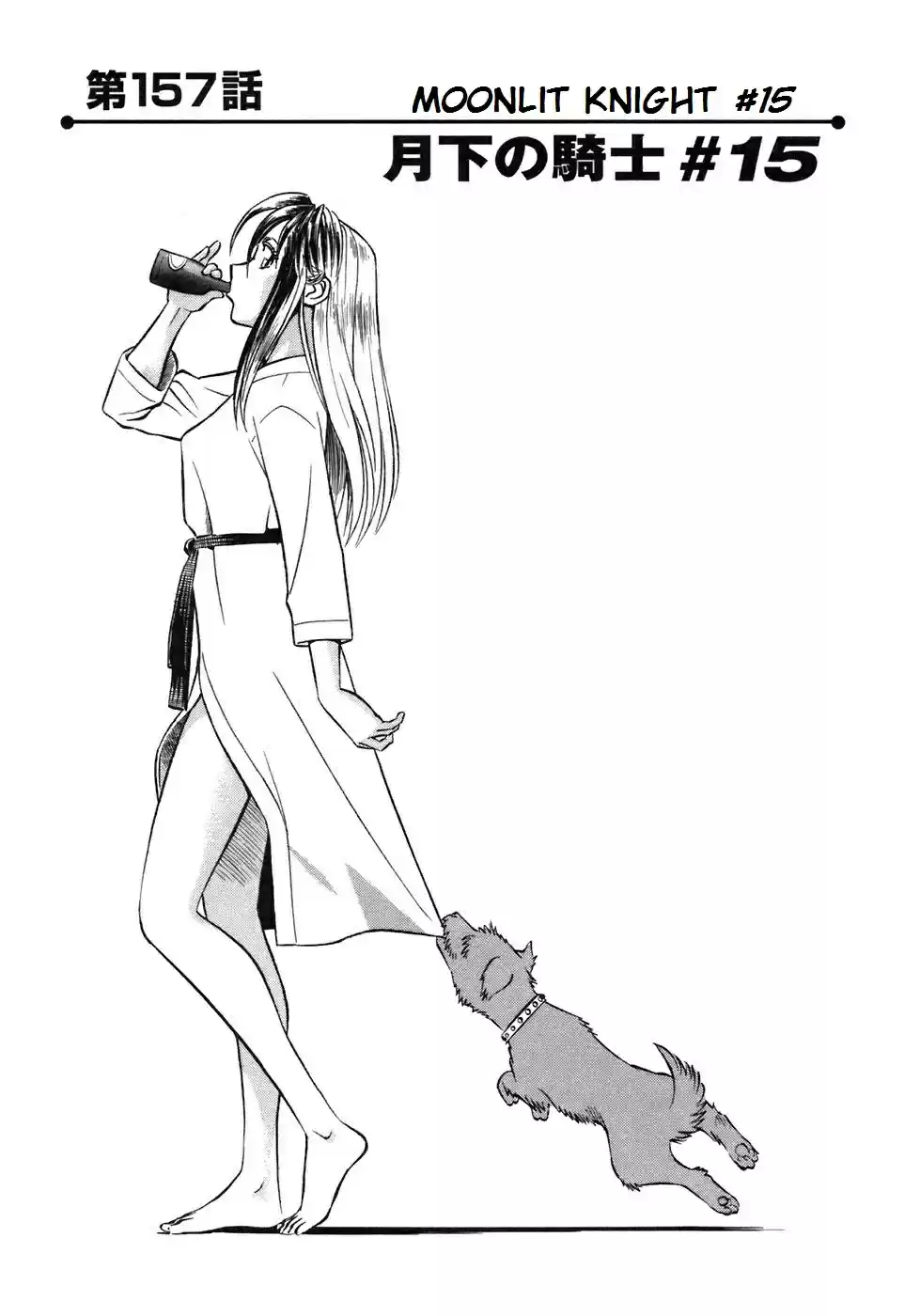 Birdy the Mighty (II) Vol.15 Ch.157