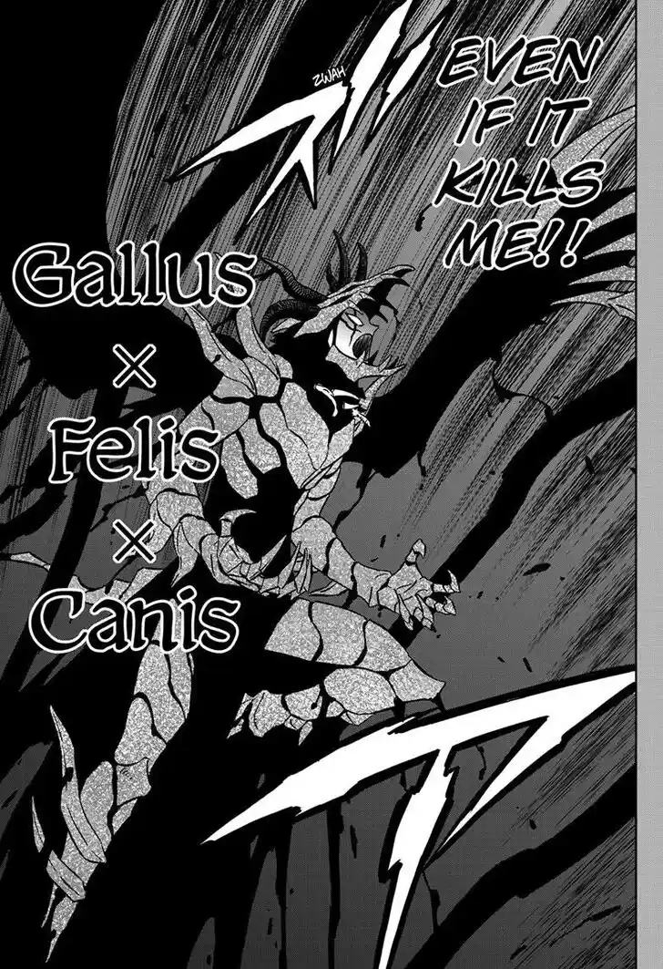 Black Clover Vol.TBD Ch.375