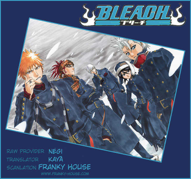 Bleach 315