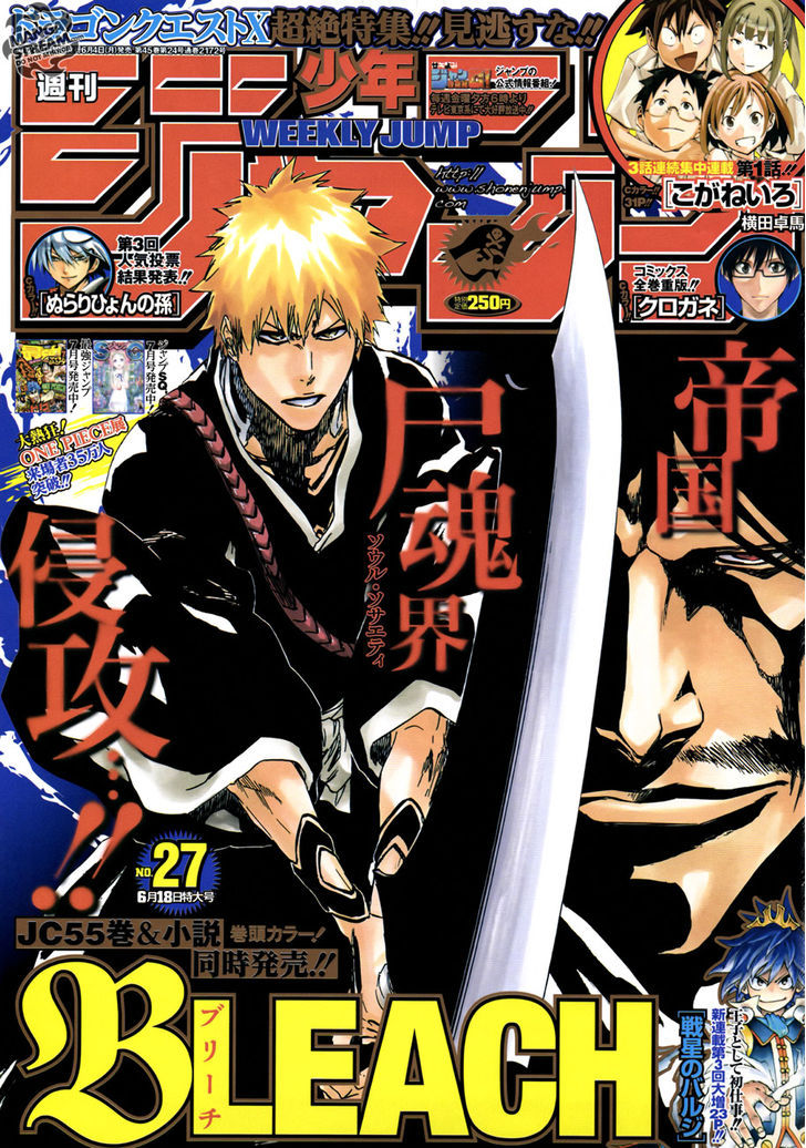 Bleach 494