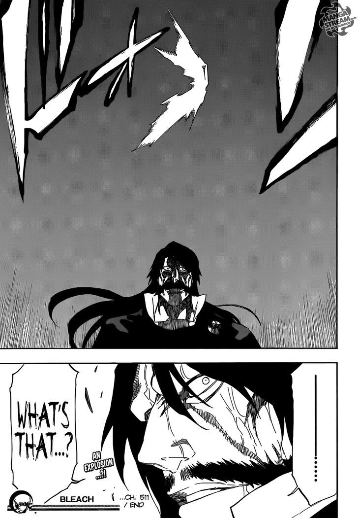 Bleach 511