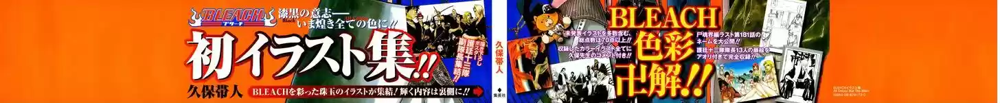 Bleach - All Colour But The Black 1