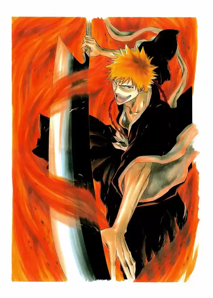 Bleach - All Colour But The Black 2