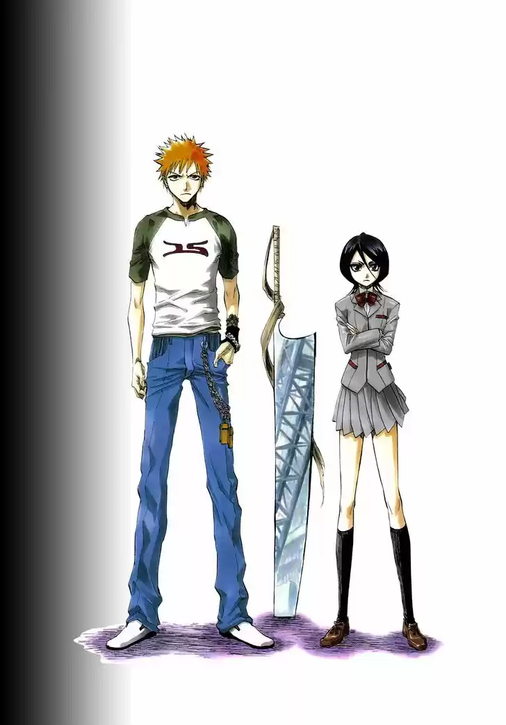 Bleach - All Colour But The Black 3