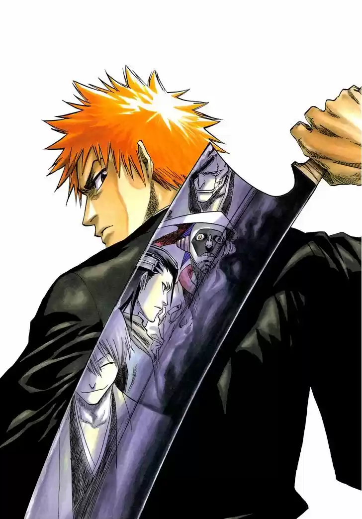 Bleach - All Colour But The Black 3