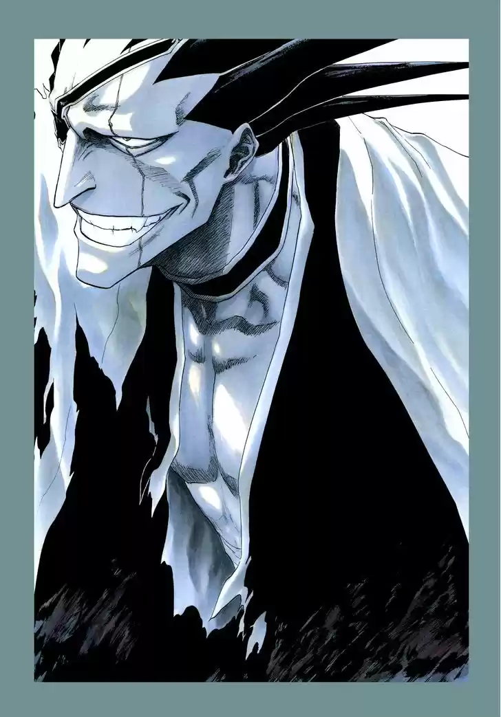 Bleach - All Colour But The Black 3