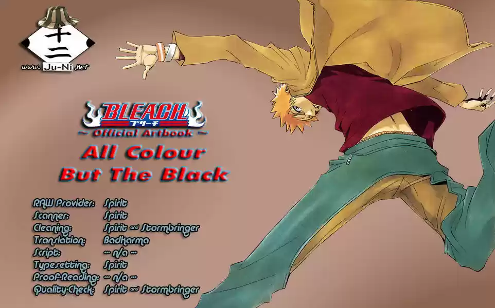 Bleach - All Colour But The Black 4