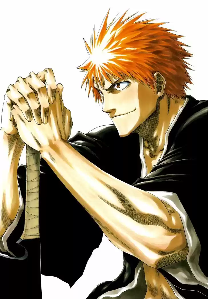 Bleach - All Colour But The Black 4