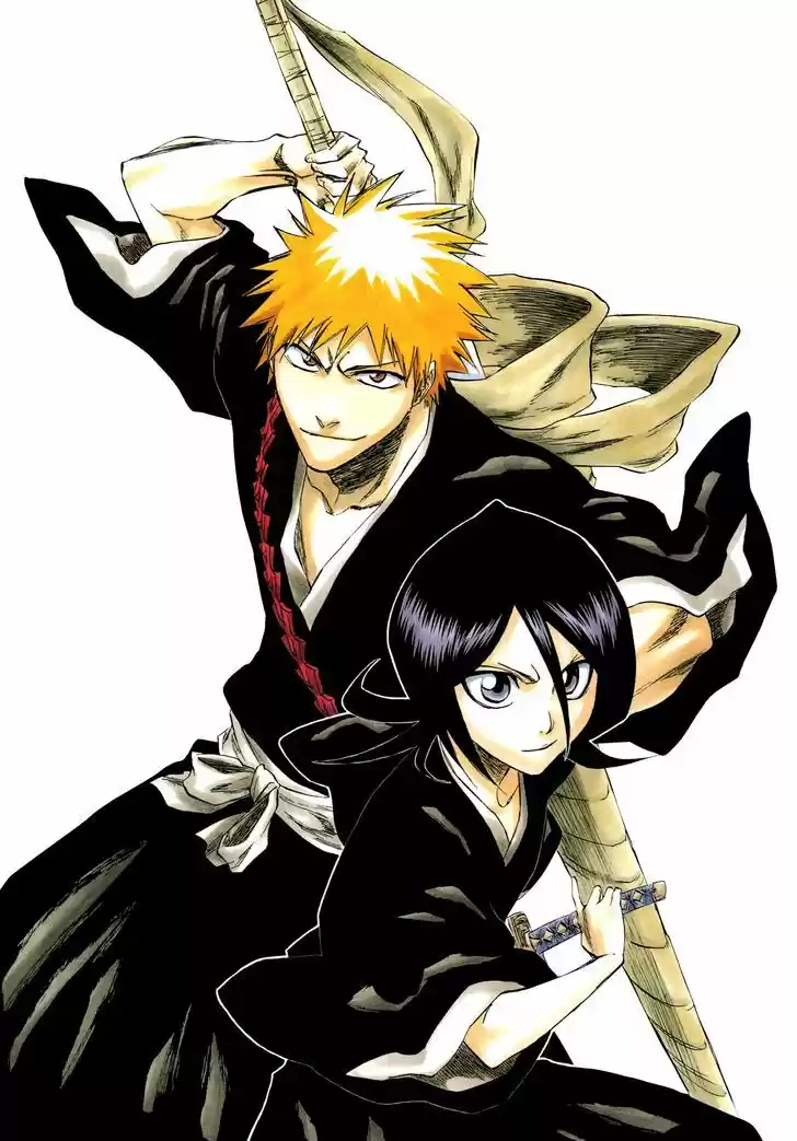 Bleach - All Colour But The Black 4